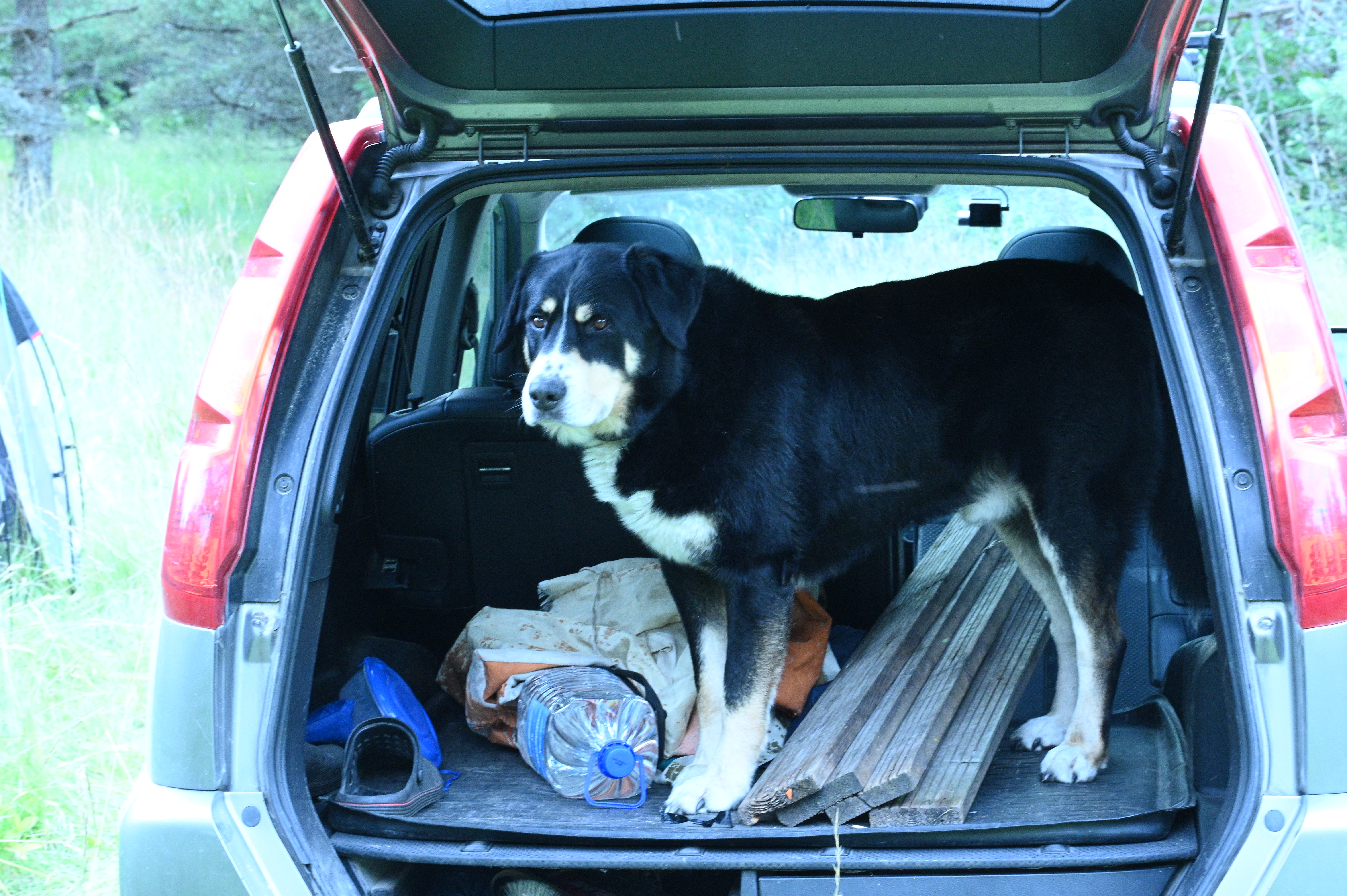 2025/07/09-14 - trip/DSC_0079.JPG